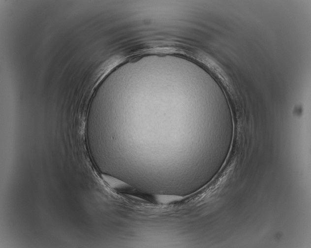 X0000097841193200803281217