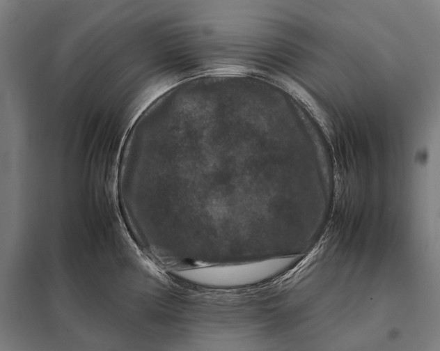 X0000097841194200803281216