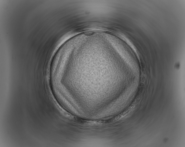 X0000097841195200803281216