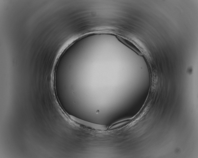 X0000097841196200803281216