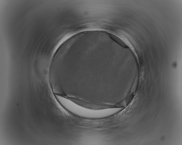 X0000097841197200803281216