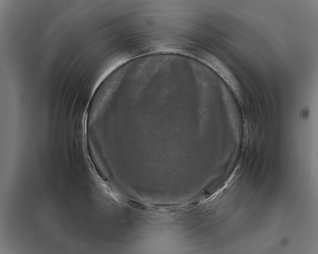 X0000097841198200803281216