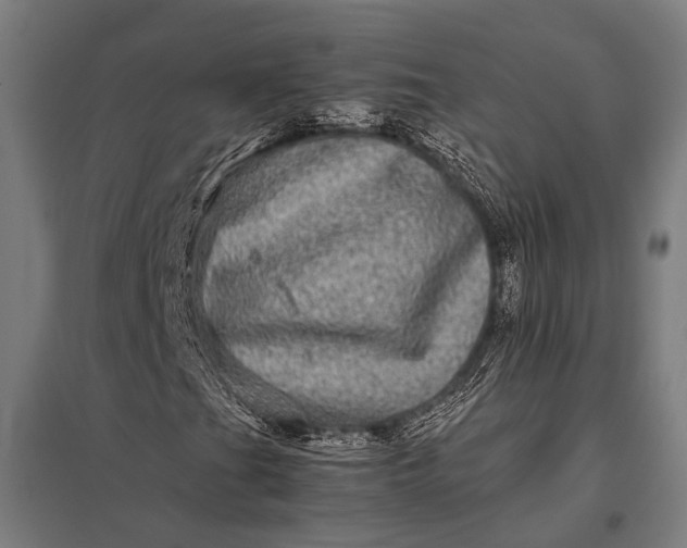 X0000097841201200803281216