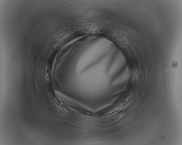 X0000097841202200803281216