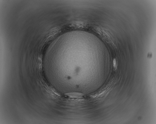 X0000097841203200803281216