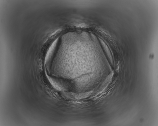 X0000097841205200803281216