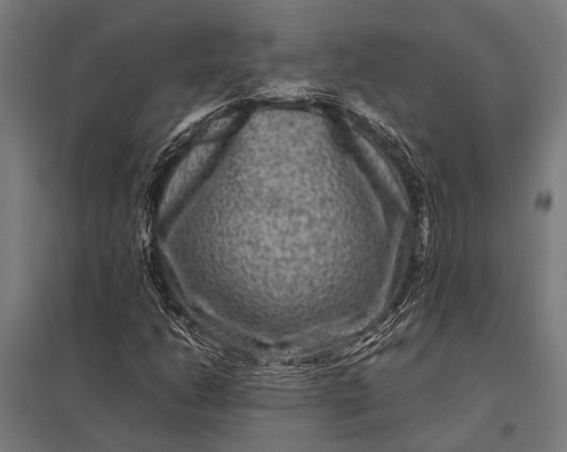 X0000097841206200803281216
