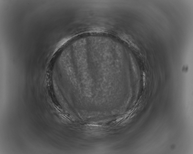 X0000097841208200803281216