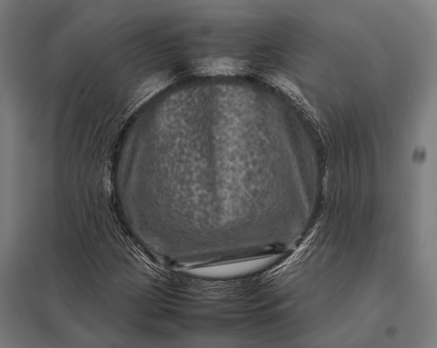X0000097841209200803281216
