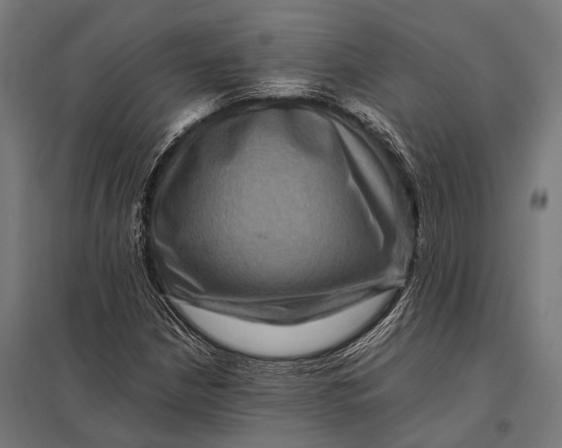X0000097841210200803281216