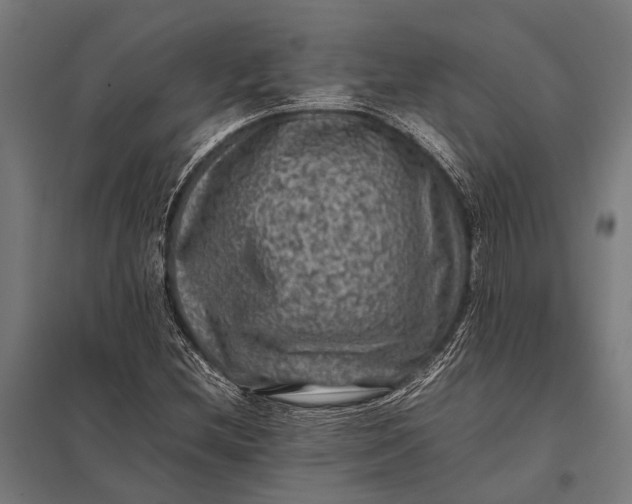 X0000097841212200803281216