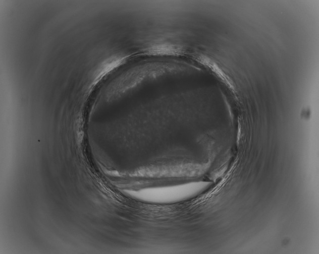 X0000097841213200803281216