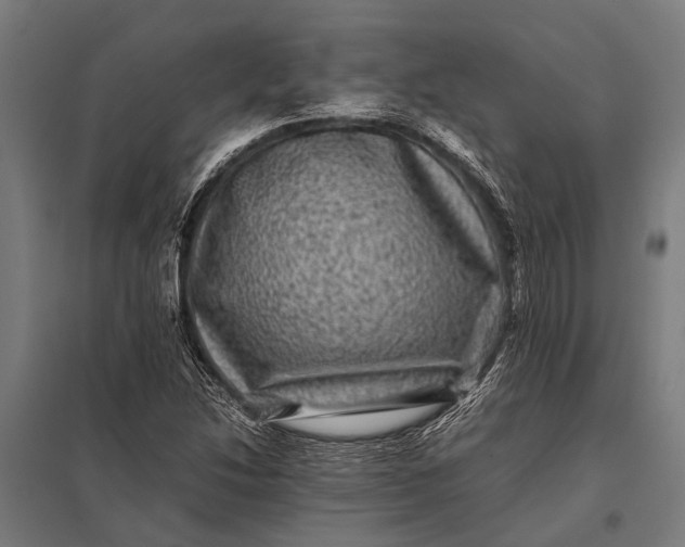 X0000097841214200803281216