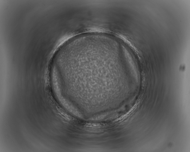 X0000097841215200803281216