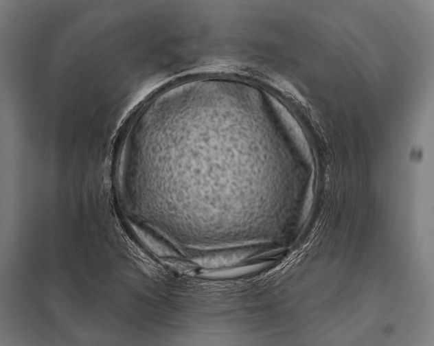 X0000097841216200803281216
