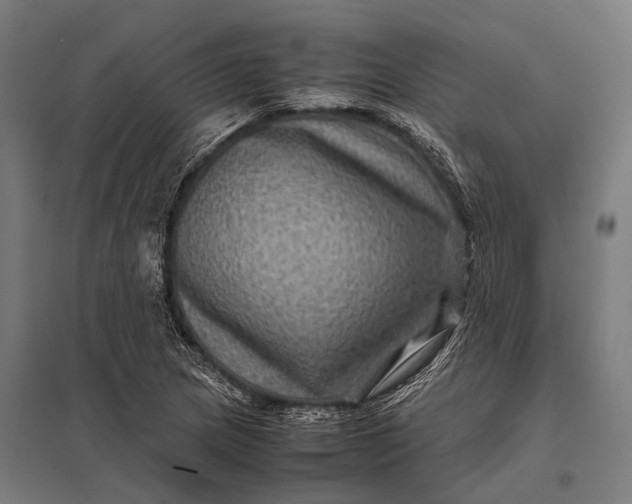 X0000097841217200803281216