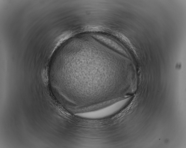 X0000097841218200803281216