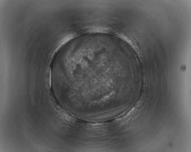 X0000097841219200803281216