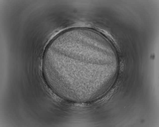 X0000097841220200803281216