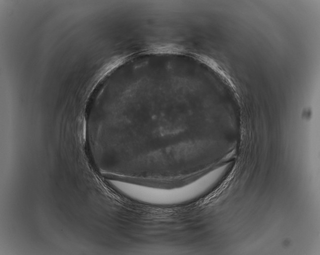 X0000097841221200803281216