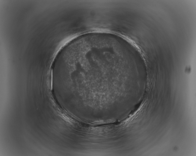 X0000097841223200803281216