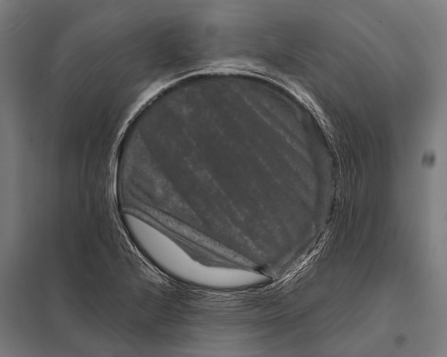 X0000097841224200803281216