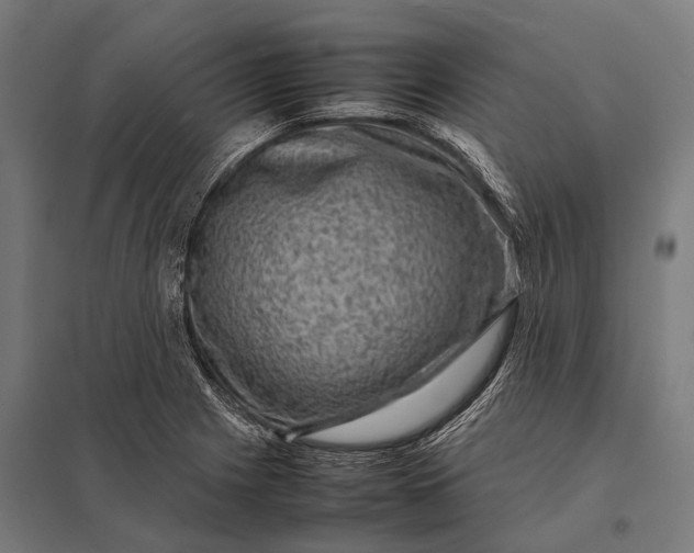 X0000097841225200803281216