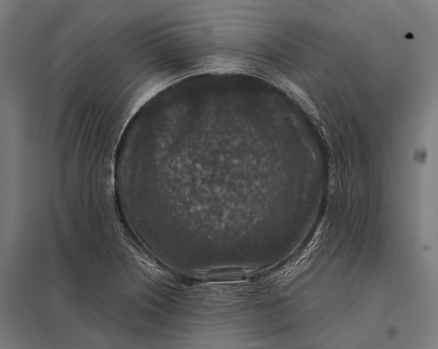 X0000097841226200803281216