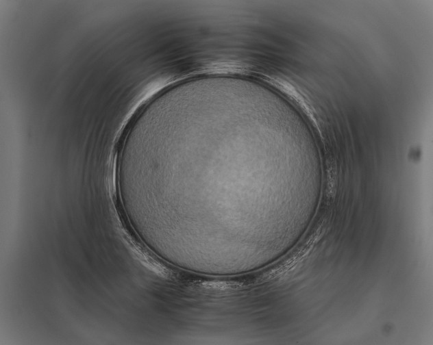 X0000097841227200803281216