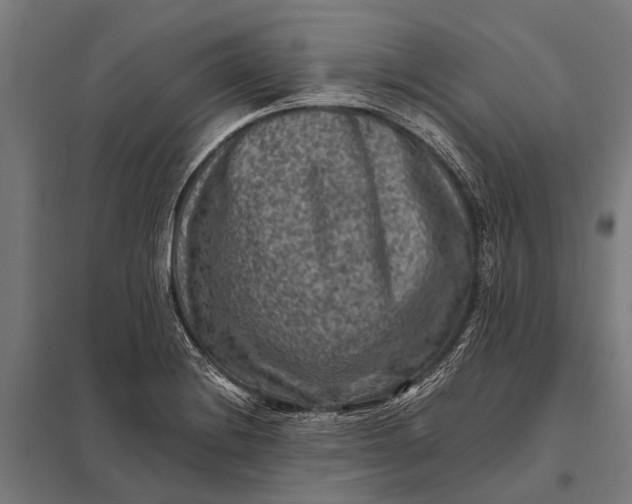 X0000097841228200803281216