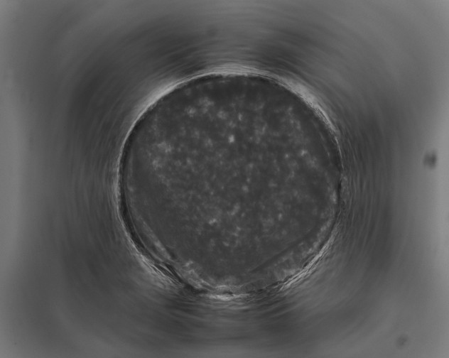 X0000097841229200803281216