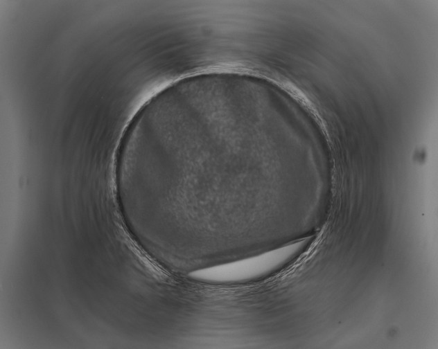X0000097841230200803281216