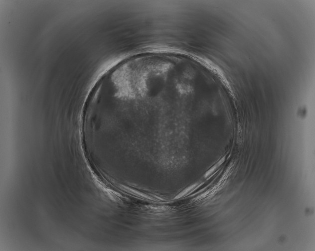X0000097841231200803281216