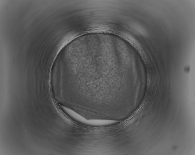 X0000097841234200803281216