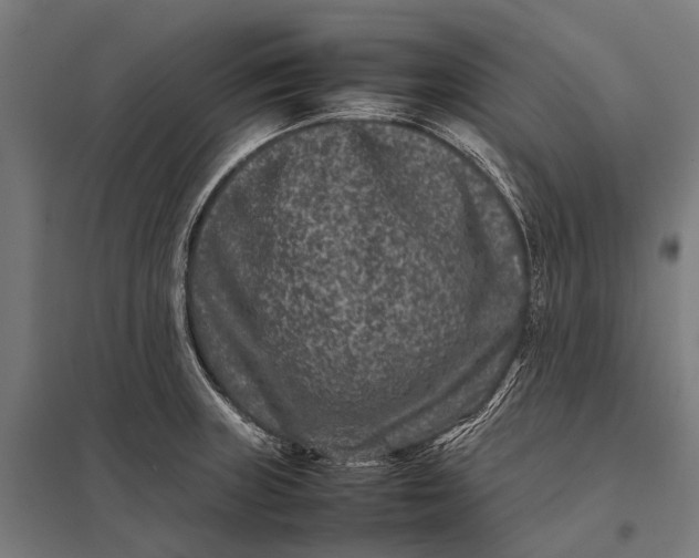 X0000097841235200803281216