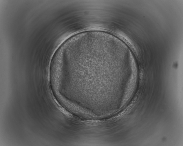 X0000097841236200803281216