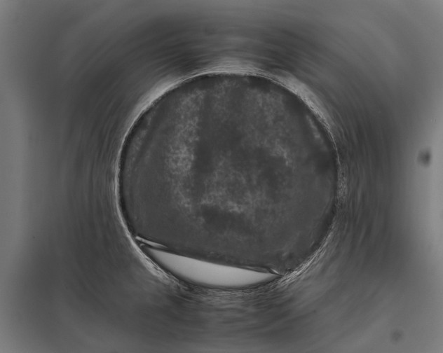 X0000097841237200803281216