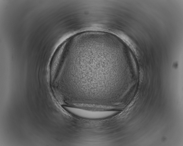 X0000097841238200803281216