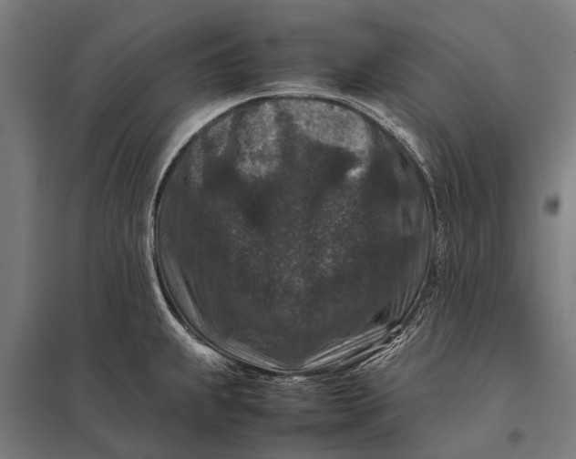 X0000097841239200803281216