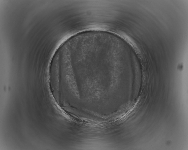 X0000097841240200803281216