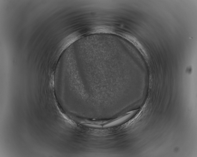 X0000097841241200803281216