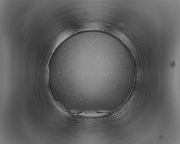 X0000097841242200803281216