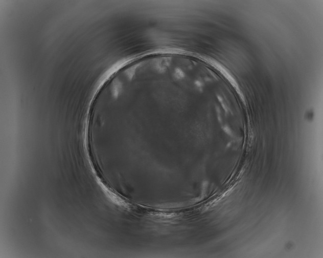 X0000097841245200803281216