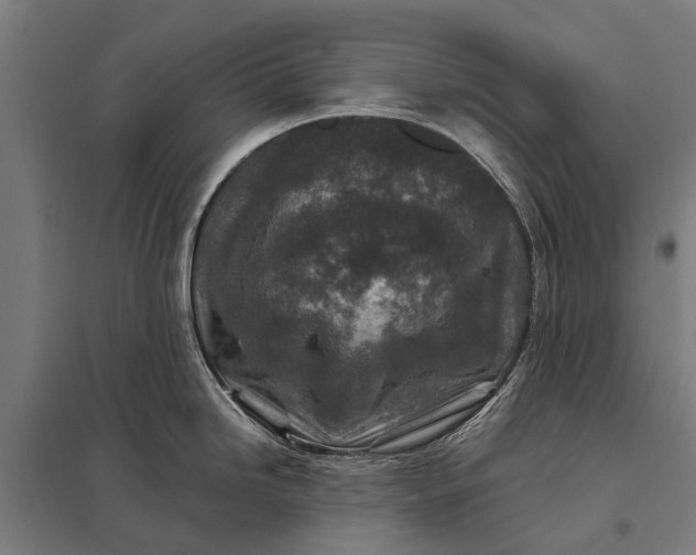 X0000097841246200803281216
