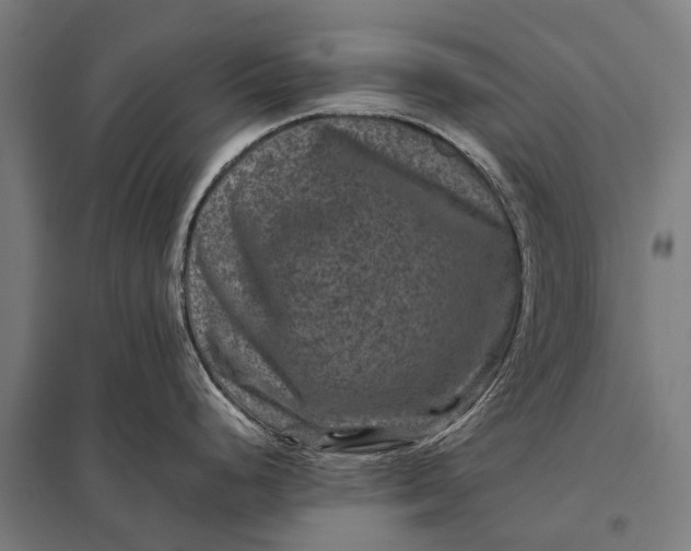 X0000097841248200803281216