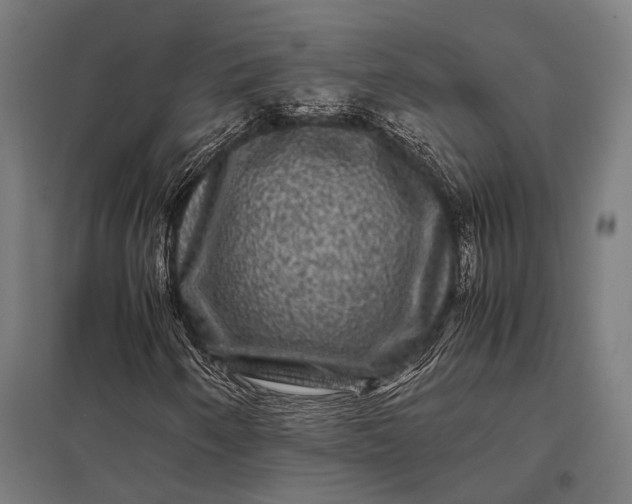 X0000097841250200803281216