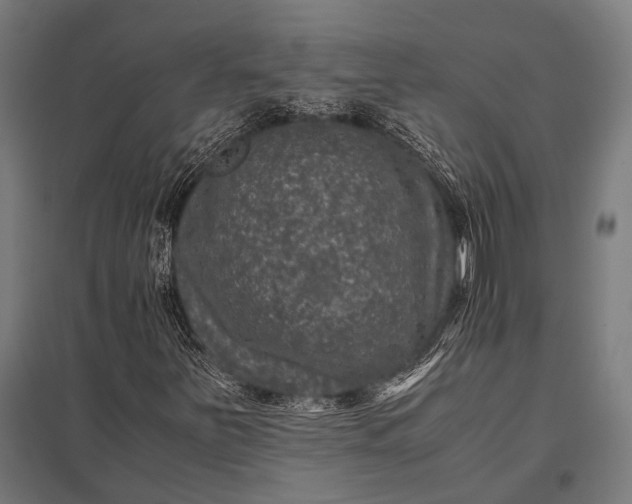 X0000097841251200803281216