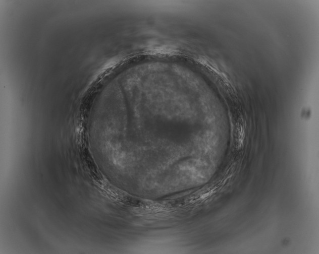 X0000097841254200803281216