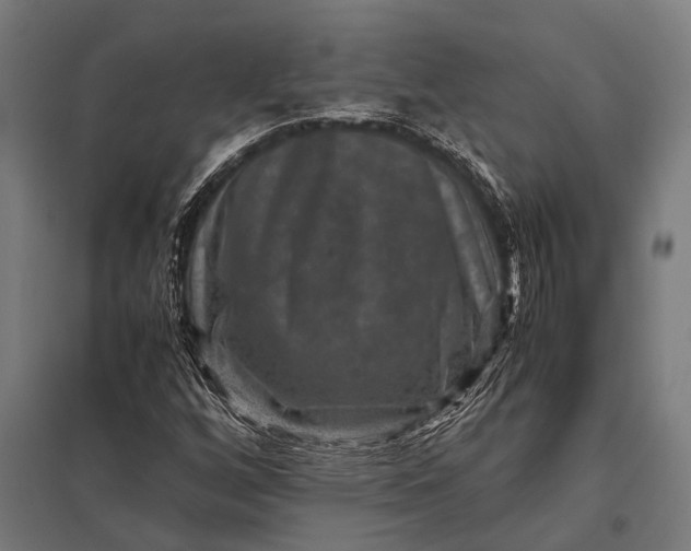 X0000097841256200803281216