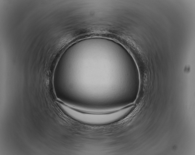 X0000097841257200803281216